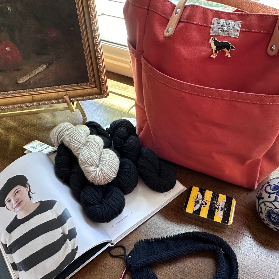 What's in the Project Bag? Ann's Travel Edition!