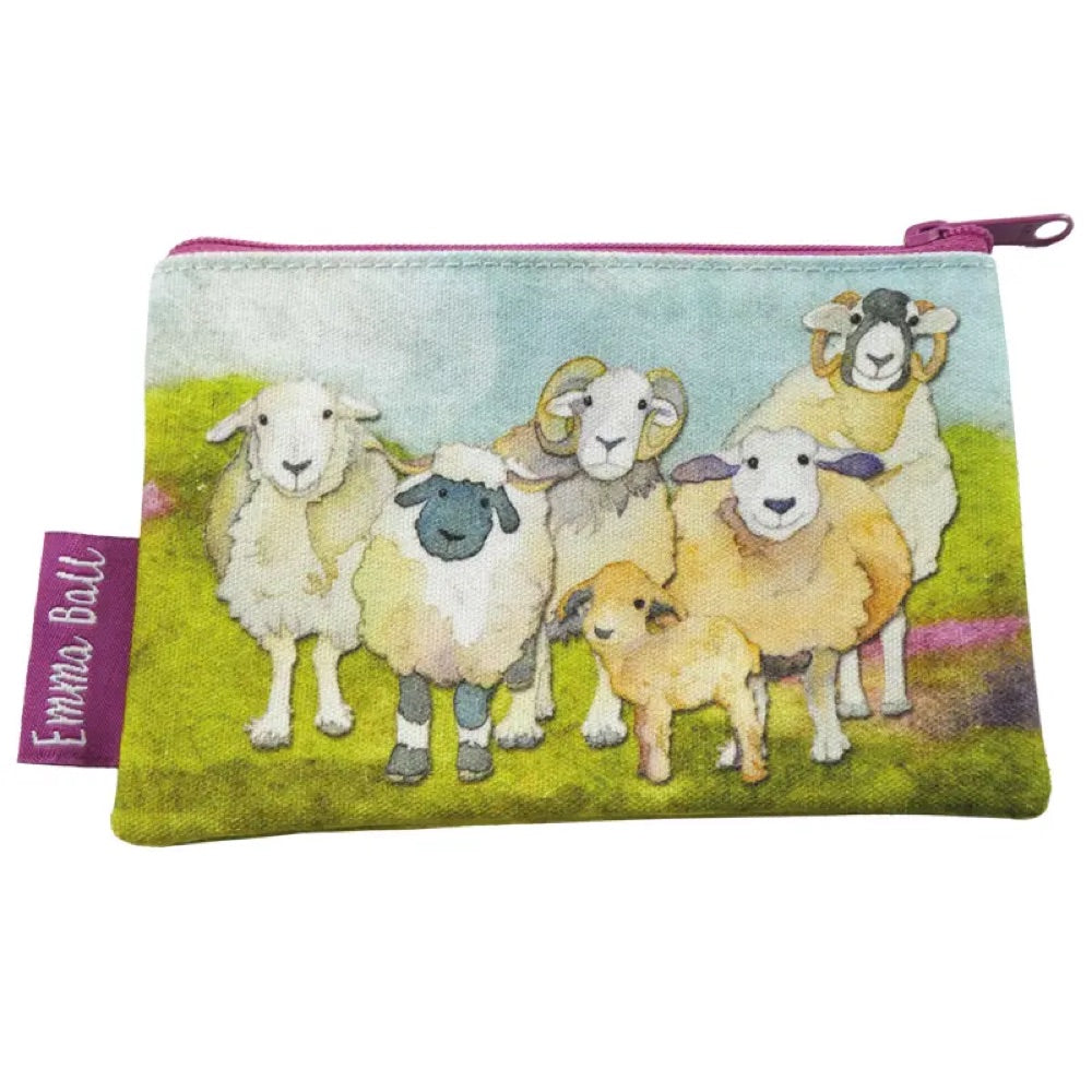 Emma Ball Notions Pouch