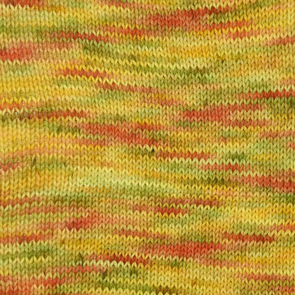 Berroco Vintage Sock Handpaint