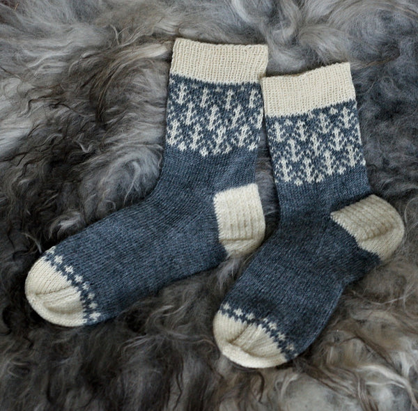 Into the Winter Woods