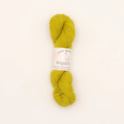 Ikigai Paka Washi Yarn