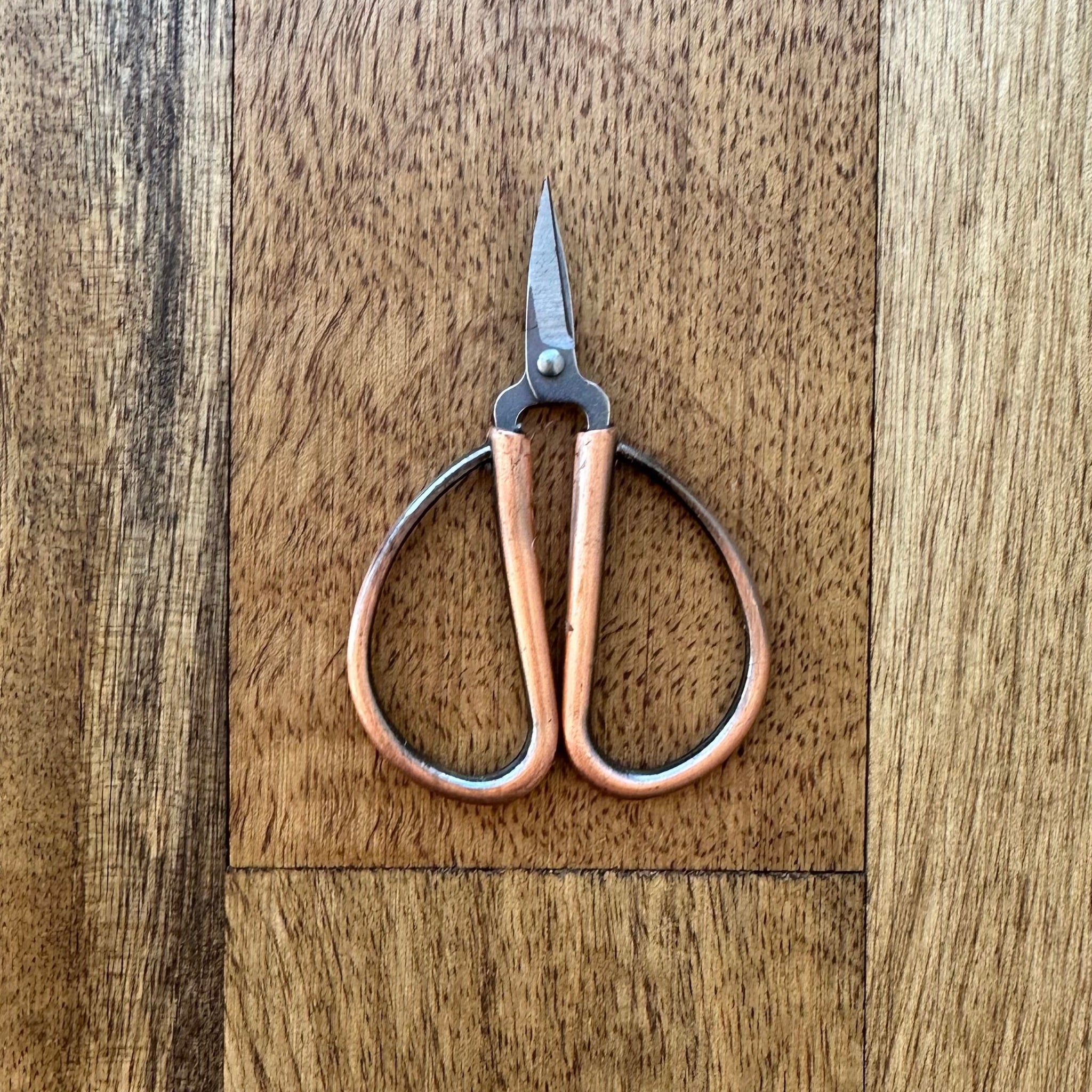 Mini Bonsai Scissors